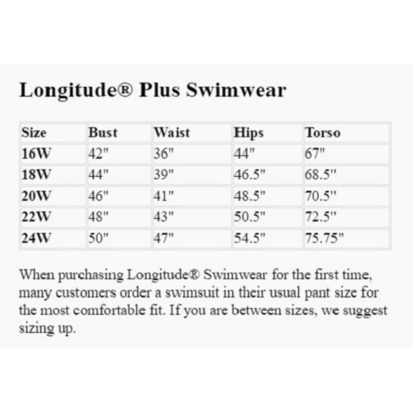 Longitude Plus Size Colorblock Plunge Tummy Control 1PC Swim NWT - Picture 5 of 6